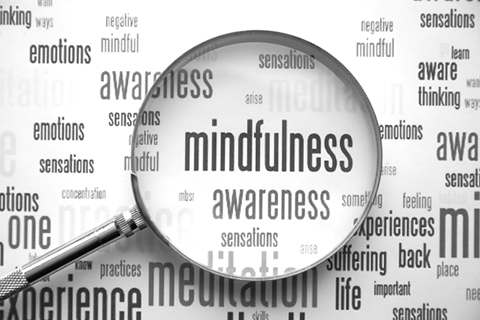 mindfulness_TEASER.fw